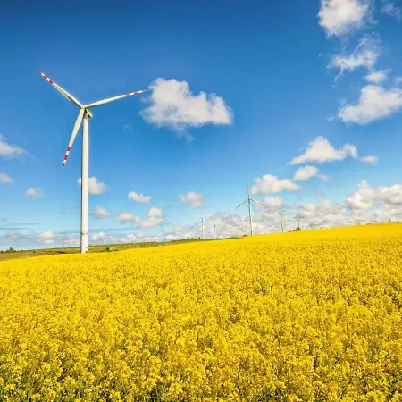 펜션 Veluwe Retreat W Garden