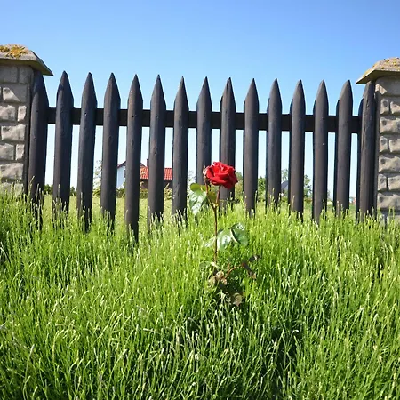 펜션 Veluwe Retreat W Garden