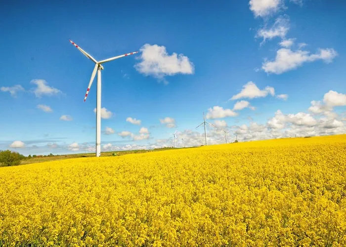 Сasa de vacaciones Veluwe Retreat W Garden