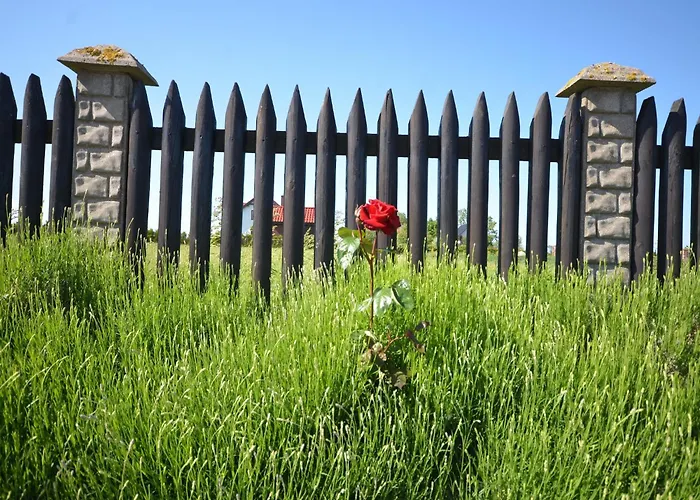 Сasa de vacaciones Veluwe Retreat W Garden